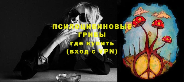 прущие грибы Семилуки