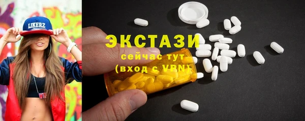 индика Снежногорск