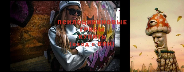 индика Снежногорск