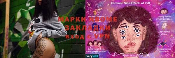 прущие грибы Семилуки