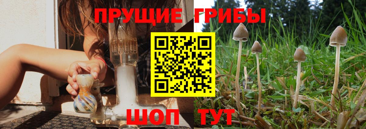 Галлюциногенные грибы GOLDEN TEACHER Кинешма